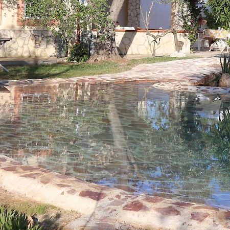 Villa Oleandro Ciccino Βιέστε Εξωτερικό φωτογραφία