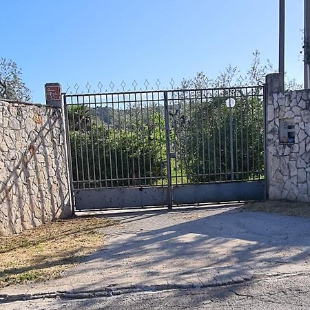 Villa Oleandro Ciccino Βιέστε Εξωτερικό φωτογραφία