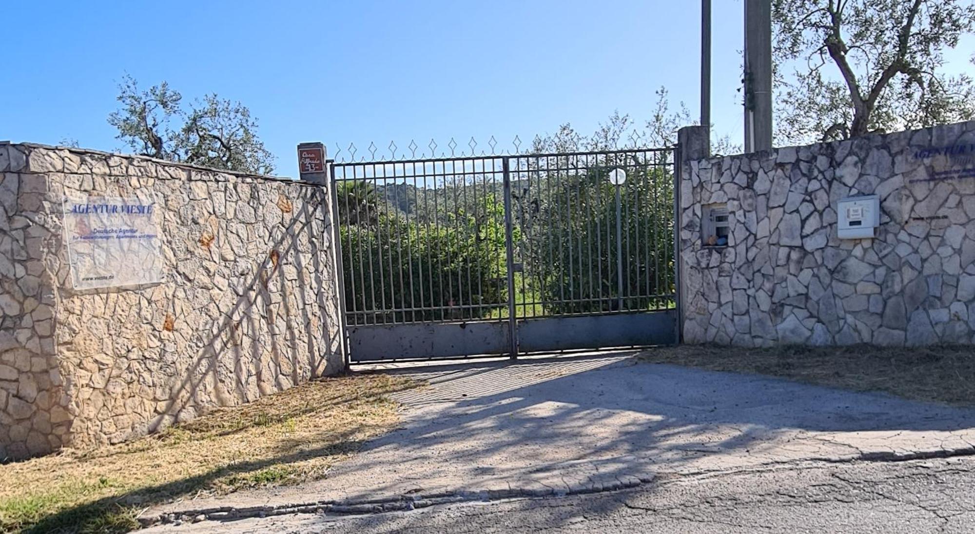 Villa Oleandro Ciccino Βιέστε Εξωτερικό φωτογραφία